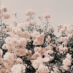 Meet your Posher, Bry